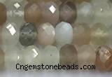 CMS2120 15 inches 4*6mm faceted rondelle moonstone beads