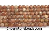 CMS2281 15 inches 8mm faceted round moonstone beads