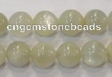CMS314 15.5 inches 12mm round natural moonstone beads wholesale