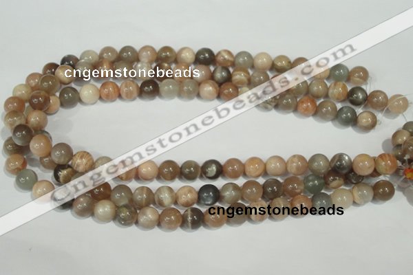 CMS504 15.5 inches 10mm round moonstone beads wholesale