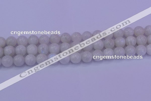 CMS644 15.5 inches 12mm round white moonstone beads wholesale