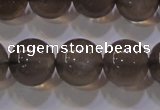 CMS860 15.5 inches 10mm round A grade natural black moonstone beads