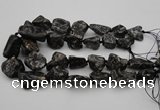 CNG1096 15.5 inches 18*25mm - 25*35mm nuggets ammonite fossil beads