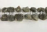 CNG3567 15.5 inches 18*20mm - 25*30mm nuggets rough labradorite beads
