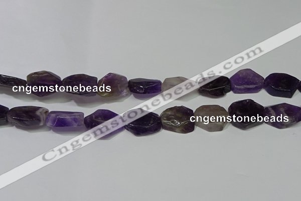 CNG5104 15.5 inches 14*20mm - 18*25mm freeform amethyst beads