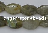 CNG5253 15.5 inches 13*18mm - 15*20mm faceted freeform labradorite beads