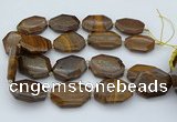 CNG5597 20*30mm - 35*45mm faceted freeform tiger iron beads