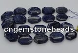 CNG5765 15.5 inches 20*30mm - 35*45mm faceted freeform sodalite beads