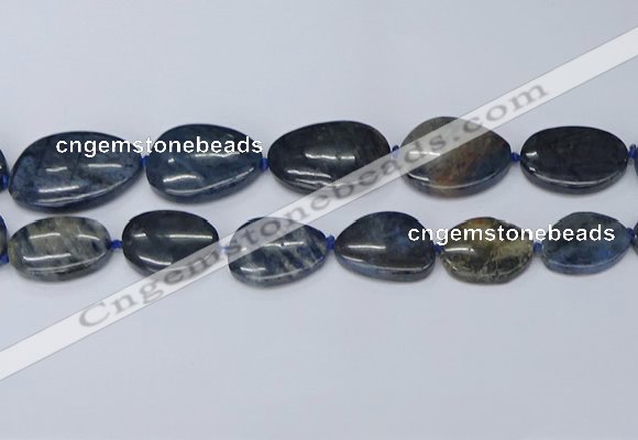 CNG7116 15.5 inches 20*25mm - 30*40mm freeform blue dumortierite beads