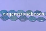 CNG7512 15.5 inches 25*35mm - 30*40mm faceted freeform amazonite beads