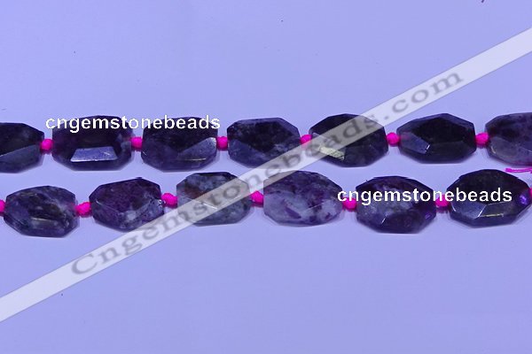 CNG7525 15.5 inches 18*25mm - 25*35mm faceted freeform tourmaline beads