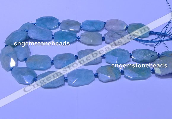 CNG7625 20*30mm - 22*32mm faceted freeform amazonite beads