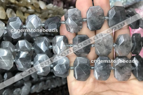 CNG7755 13*18mm - 15*25mm faceted freeform cloudy quartz beads