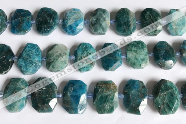 CNG7787 15.5 inches 13*18mm - 15*25mm faceted freeform apatite beads