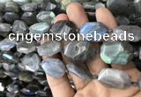 CNG7820 15.5 inches 13*18mm - 18*25mm faceted freeform labradorite beads