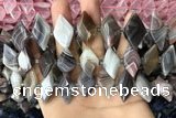 CNG7877 13*20mm - 15*25mm faceted freeform Botswana agate beads
