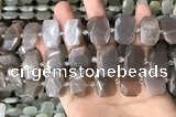 CNG7886 13*18mm - 15*25mm faceted freeform moonstone beads
