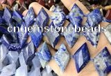 CNG8649 13*20mm - 15*25mm faceted freeform lapis lazuli beads