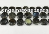 CNG8824 15.5 inches 16mm - 20mm faceted freeform labradorite beads