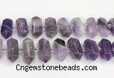CNG8916 15.5 inches 10*25mm - 15*30mm faceted nuggets amethyst beads