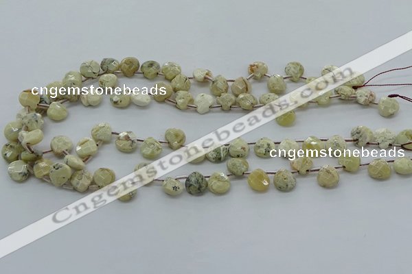 COP1482 15.5 inches 10*10mm briolette African opal gemstone beads