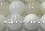COP1733 15.5 inches 12mm round white opal beads wholesale