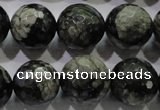 COP466 15.5 inches 16mm faceted round natural grey opal gemstone beads