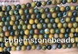 COS301 15.5 inches 6mm round ocean jasper beads wholesale