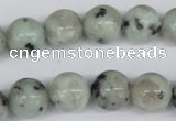 CRO314 15.5 inches 12mm round kiwi stone beads wholesale