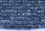 CRZ1171 15 inches 2mm faceted round sapphire beads