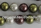CSB1081 15.5 inches 12mm round mixed color shell pearl beads
