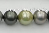 CSB398 15.5 inches 16mm round mixed color shell pearl beads