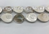 CSB4505 15.5 inches 28*38mm - 32*42mm teardrop shell beads wholesale