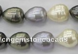 CSB552 15.5 inches 12*15mm whorl teardrop mixed color shell pearl beads