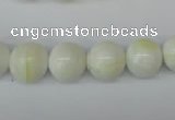 CSB954 15.5 inches 12mm round shell pearl beads wholesale