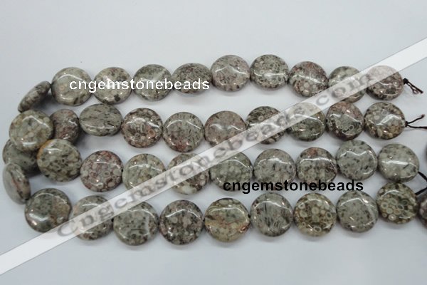 CSF01 15.5 inches 20mm flat round shell fossil jasper beads