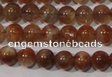 CSS551 15.5 inches 5mm round natural golden sunstone beads