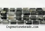 CTB891 15.5 inches 13*25mm - 14*19mm faceted tube eagle eye jasper beads