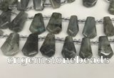 CTD2275 Top drilled 16*28mm - 20*30mm faceted freeform labradorite beads