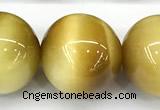 CTE2387 15 inches 16mm round golden tiger eye beads
