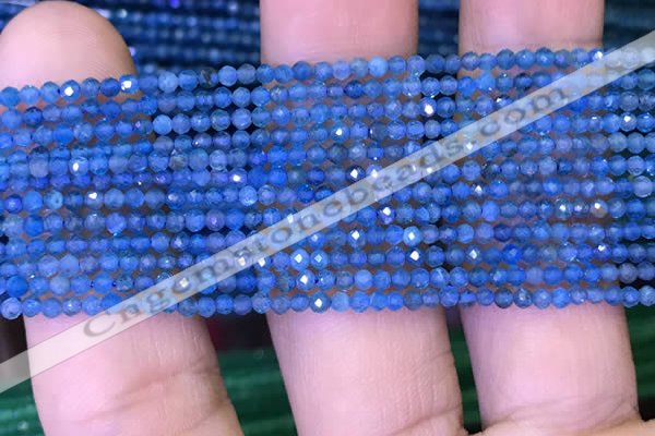 CTG1073 15.5 inches 2mm faceted round tiny apatite beads