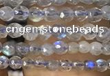 CTG1078 15.5 inches 2mm faceted round tiny labradorite beads