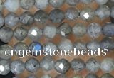 CTG1459 15.5 inches 2mm faceted round labradorite beads wholesale