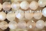 CTG1544 15.5 inches 4mm faceted round moonstone beads wholesale