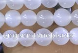 CTG1581 15.5 inches 4mm round white moonstone beads wholesale