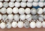 CTG2087 15 inches 2mm,3mm natural white howlite gemstone beads