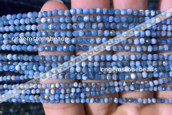 CTG759 15.5 inches 2mm faceted round tiny apatite gemstone beads