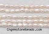 FWP496 14 inches 8mm - 9mm baroque white freshwater pearl strands