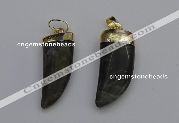 NGP7038 12*35mm - 14*40mm horn labradorite pendants wholesale