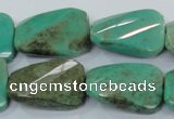 CAA101 15.5 inches 18*25mm faceted & twisted rectangle grass agate beads